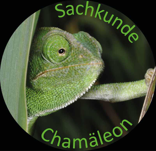 Sachkunde-chamaeleon.ch